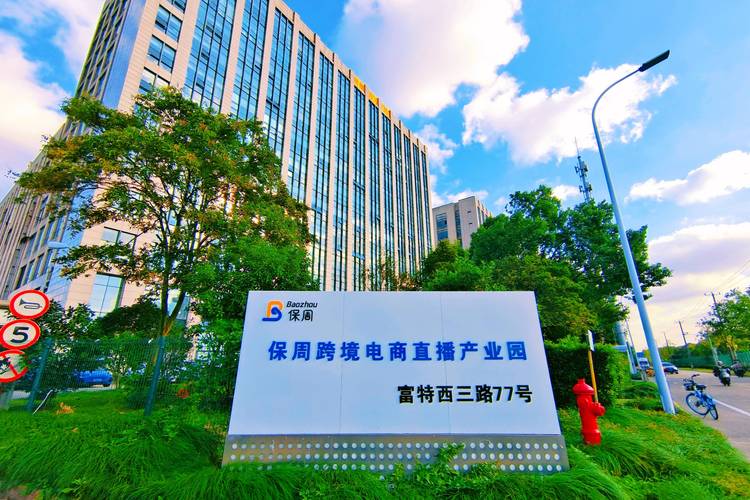 跨境直播加速什么意思_跨境直播加速怎么弄_跨境直播加速