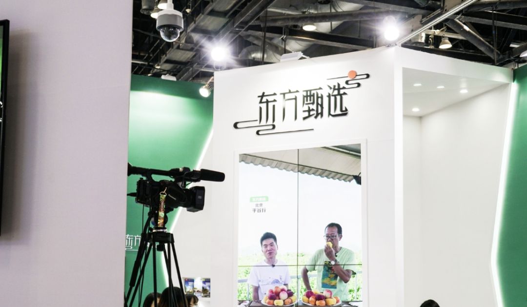 新加坡tiktok直播线路_新加坡8台直播源_新加坡toto直播