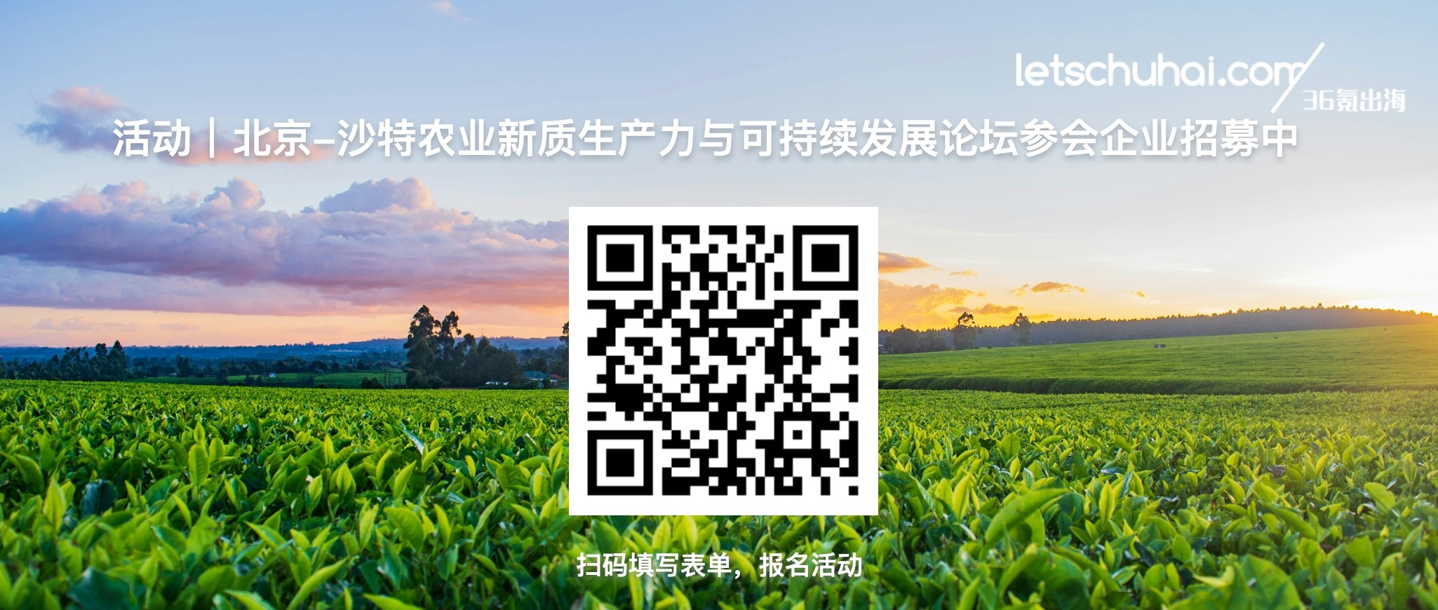 迪拜自贸区选择指南_迪拜自贸区落地避坑_tiktok迪拜直播专线