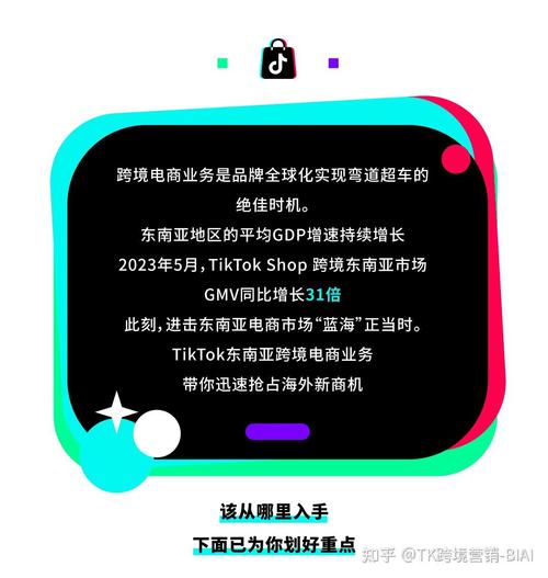 跨境电商运营指南_tiktok海外ip_平台选择与市场定位