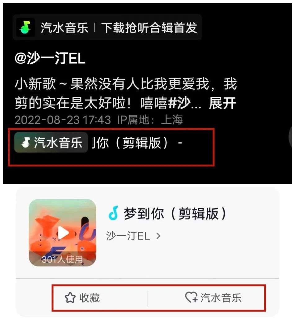 TikTok Music音乐流媒体 _ TikTok挑战Spotify市场 _tiktok巴西线路