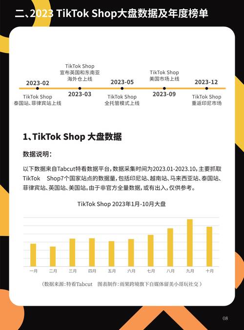 tiktok巴西线路_TikTok电商市场分析_TikTok Shop跨境电商入门