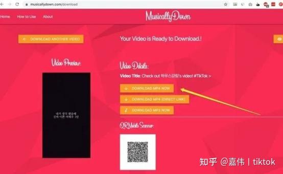 TikTok视频搬运技巧_TikTok视频去重方法_tiktok法国线路