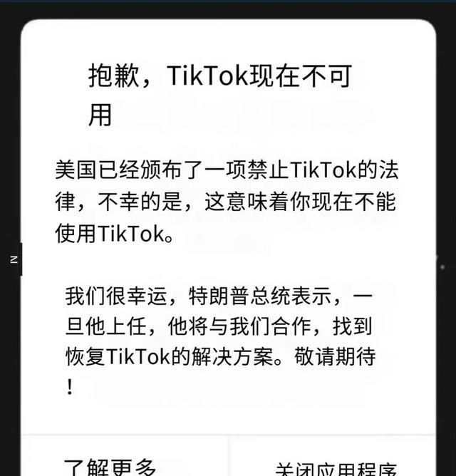 法国tiktok原生ip_字节跳动CapCut下架_TikTok美国禁令