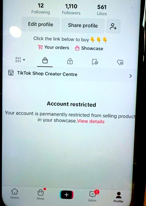 tiktok日本线路_AdsPower防止TikTok封号_TikTok Shop官网电商管理平台