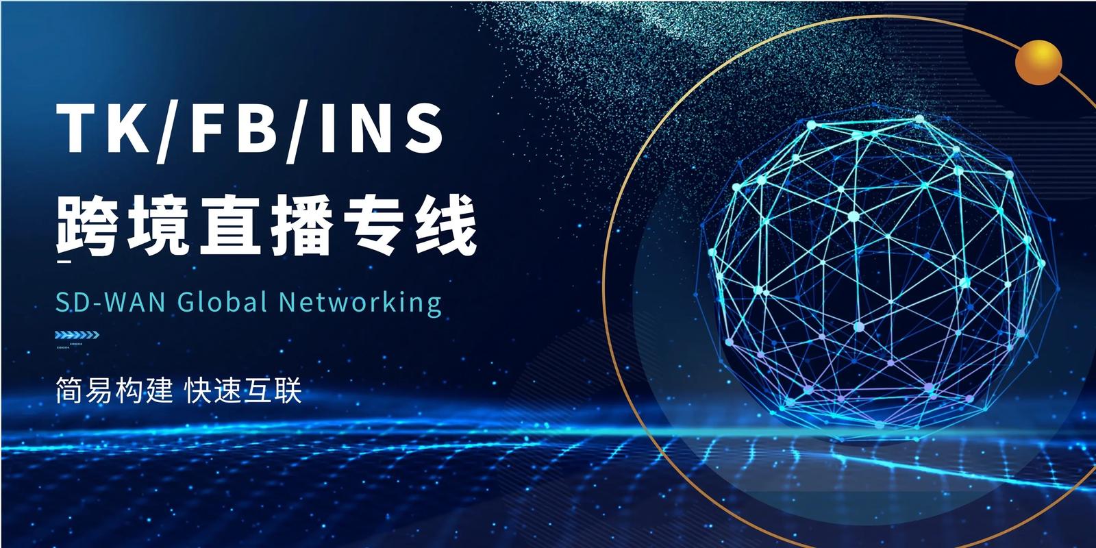 TikTok专线IP_ipipgo稳定高匿代理IP_tiktok日本ip