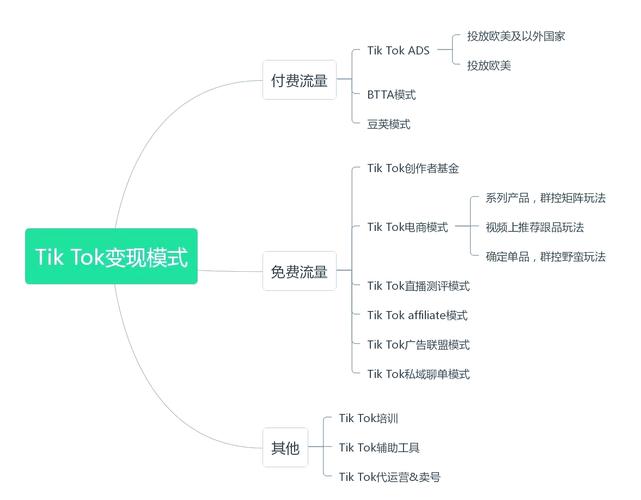 TikTok美国下线 字节跳动海外应用停服 特朗普TikTok政策_美国tiktok专线节点