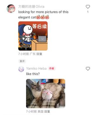 泰国tiktok直播加速_小红书TikTok难民 苹果美区应用商店免费榜 首位 用户优先考虑的是有吸引力的内容和社区