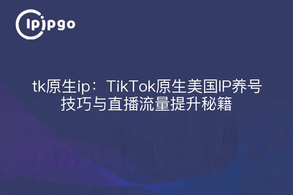 美国tiktok原生ip_TikTok账号身份证重要性-新闻-JiSu-提供TikTok直播专线,SDWAN专线,TikTok线路,原生ip,节点,SD-WAN