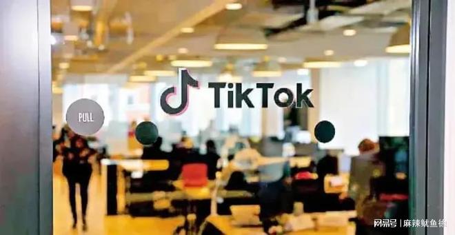 tiktok德国原生ip_申请德国TikTok本土公会步骤-新闻-JiSu-提供TikTok直播专线,SDWAN专线,TikTok线路,原生ip,节点,SD-WAN