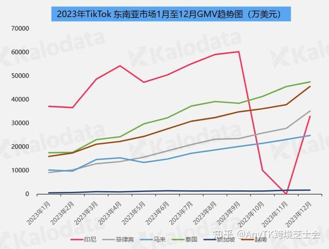 TikTok新加坡海外扩张战略_新加坡tiktok节点加速_新加坡TikTok本地化内容创新